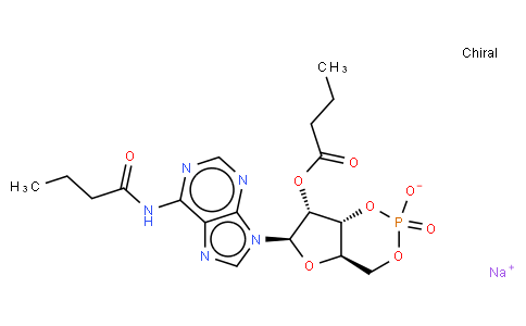 N6,2′-O-二丁酰基腺苷3′,5′-环磷酸 钠盐