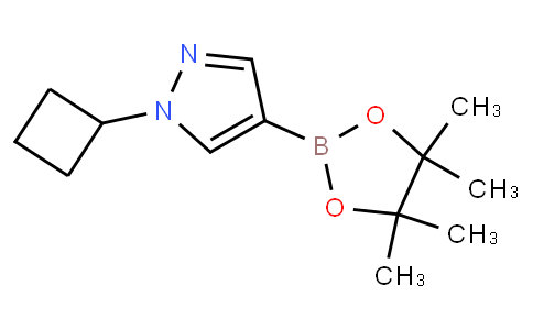 1-cyclobutyl-4-(4,4,5,5-tetramethyl-1,3,2-dioxaborolan-2-yl)-1H-pyrazole