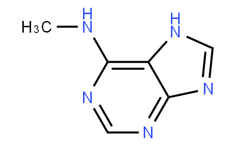 6-methylaminopurine