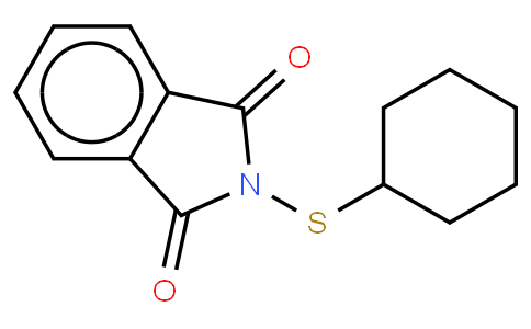 N-(环己基硫代)邻苯二甲酰亚胺