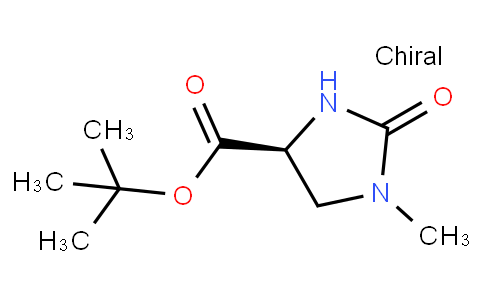 (4S)-1-甲基-2-氧代咪唑啉-4-甲酸叔丁酯