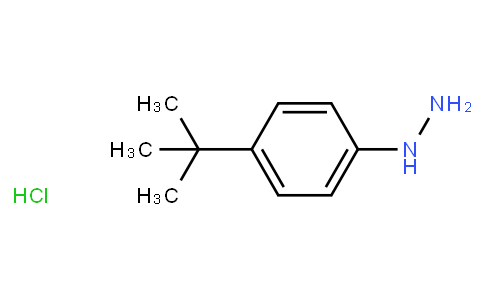 4-Tert-Butylphenylhydrazine hydrochloride