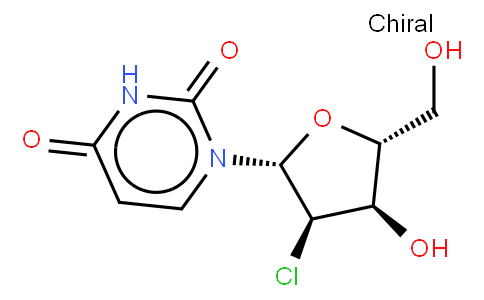 2'- 2'-DEOXY -2'- CHLORO- URIDINE