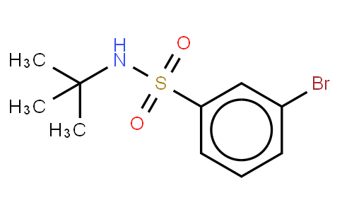 3-bromo-n-(tert-butyl)benzenesulphonamide