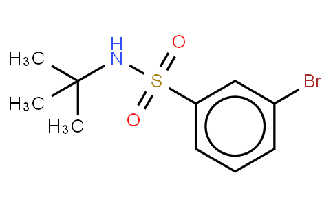 N-叔丁基-3-溴苯磺酰胺