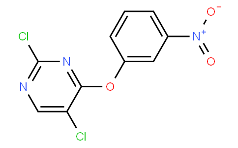 2,5-dichloro-4-(3-nitrophenoxy)pyriMidine