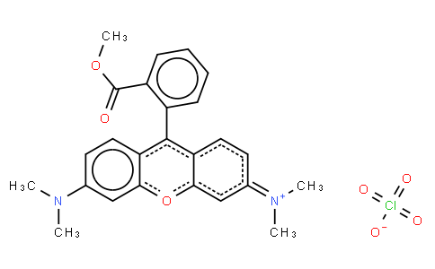 Tetramethylrhodamine methyl ester perchlorate