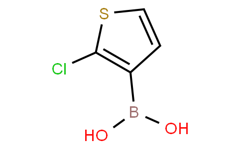 2-Chlorothiophene-3-boronic acid