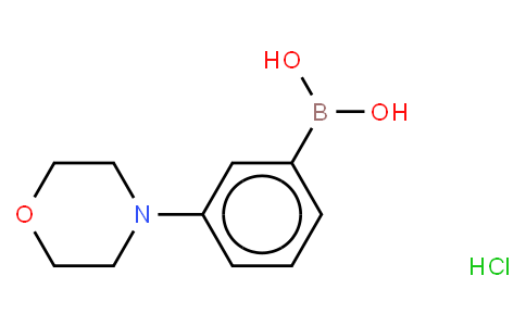 3-(Morpholin-1-yl)phenylboronic acid HCl