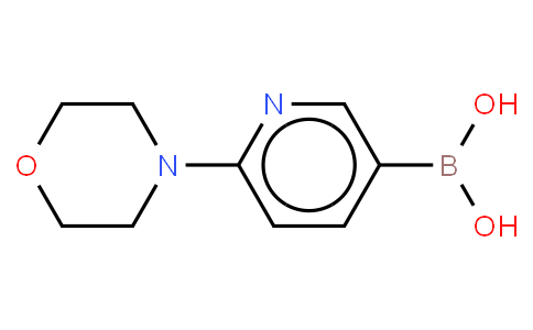 6-(4-吗啉基)-3-吡啶硼酸