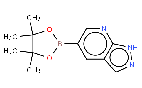 1H-Pyrazol[3,4b]pyridine-5-boronic acid pinacol ester