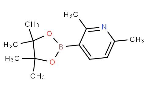 2,6-Dimethylpyridine-3-boronic acid pinacol ester