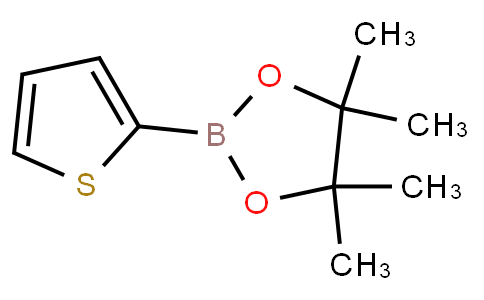 Thiophene-2-boronic acid pinacol ester