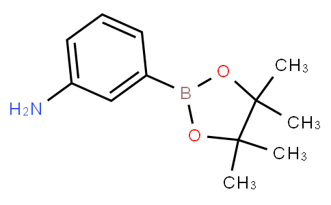 3-Aminophenylboronic acid pinacol ester