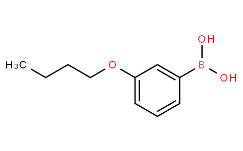 3-BUTOXYBENZENEBORONIC ACID