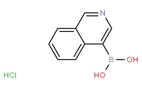 ISOQUINOLINE-4-BORONIC ACID HYDROCHLORIDE