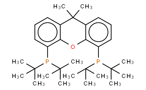 9,9-DIMETHYL-4,5-BIS(DI-T-BUTYLPHOSPHINO)XANTHENE, MIN. 97% T-BU-XANTPHOS