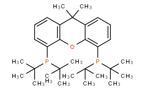 9,9-DIMETHYL-4,5-BIS(DI-TERT-BUTYLPHOSPHINO)XANTHENE