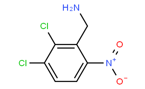 2,3-Dichloro-6-nitrobenzyl amine