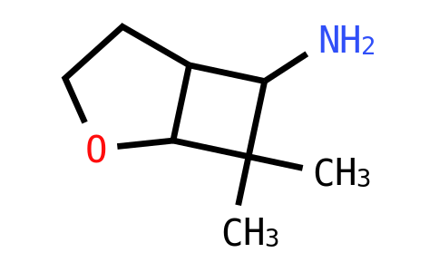 7,7-Dimethyl-2-oxabicyclo[3.2.0]heptan-6-amine