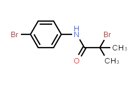 2-Bromo-N-(4-bromophenyl)-2-methylpropanamide